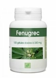 GPH DIFFUSION FENUGREC 100 GELULES 330MG